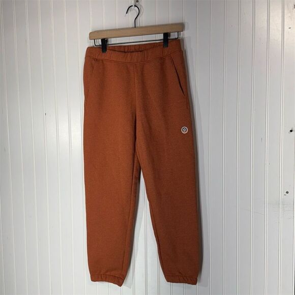 Patagonia Pants - Patagonia XS Quartz Coral Uprisal Sweatpants W’s FitRoy Icon Joggers NWT Cozy